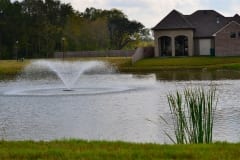 DSC_1155